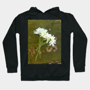 A Bunch of Daisies by Avril Thomas Hoodie